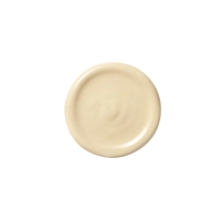 NAM Korektor z ochroną przeciwsłoneczną Daily Shield Eye Concealer